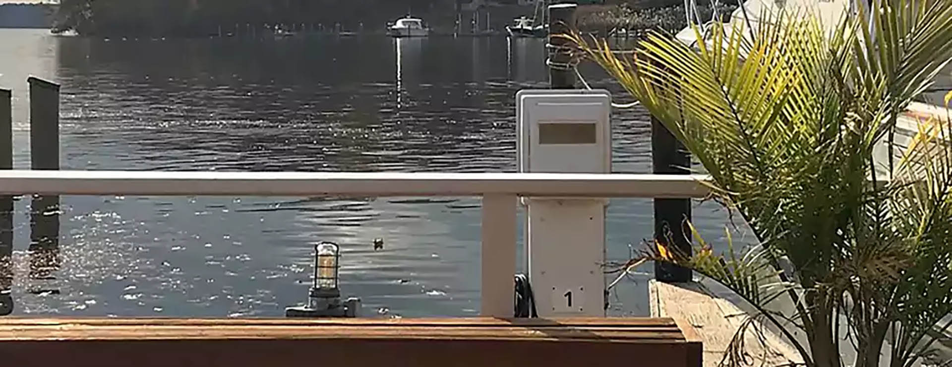 Easton Point Environmental Responsibility