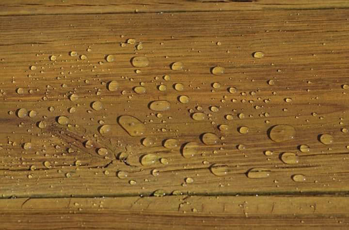 Water Drops